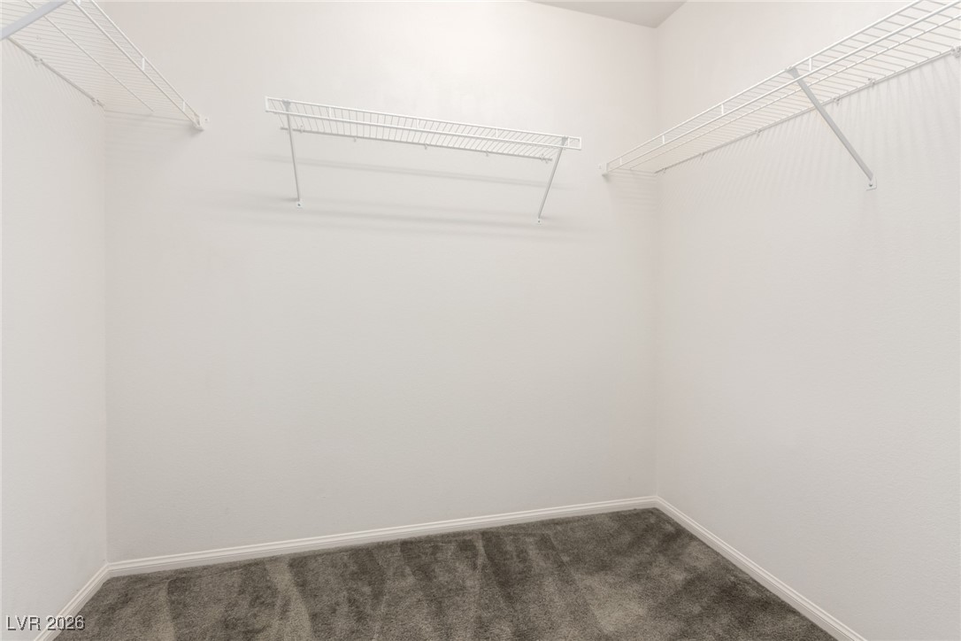 2862 Turnstone Ridge Street Henderson, NV 89044 - Photo 17 of 30 Spacious closet with dark carpet