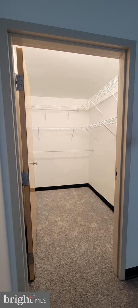 75 Maple Street, Unit 202 Conshohocken, PA 19428 - Photo 22 of 36 a view of closet