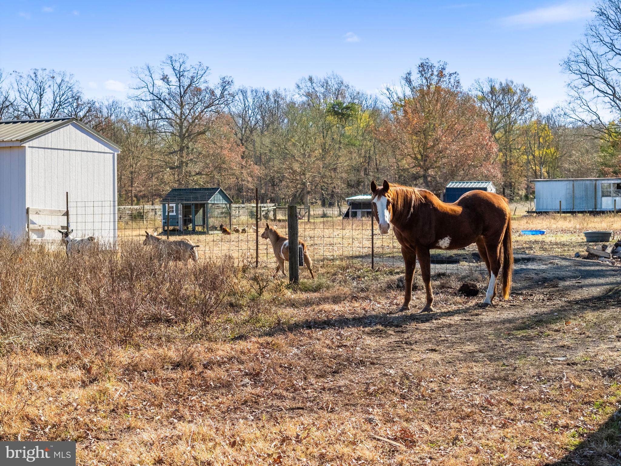 18321 Carrico Mills Road Stevensburg, VA 22741 - Photo 53 of 62 a backyard of a house with table and chairs