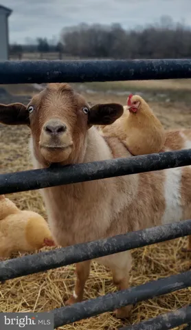 $465,000 | 18321 Carrico Mills Road, Elkwood, VA 22718