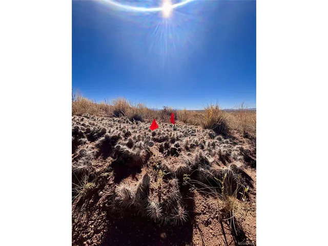a view of a bunch of flowers in a room