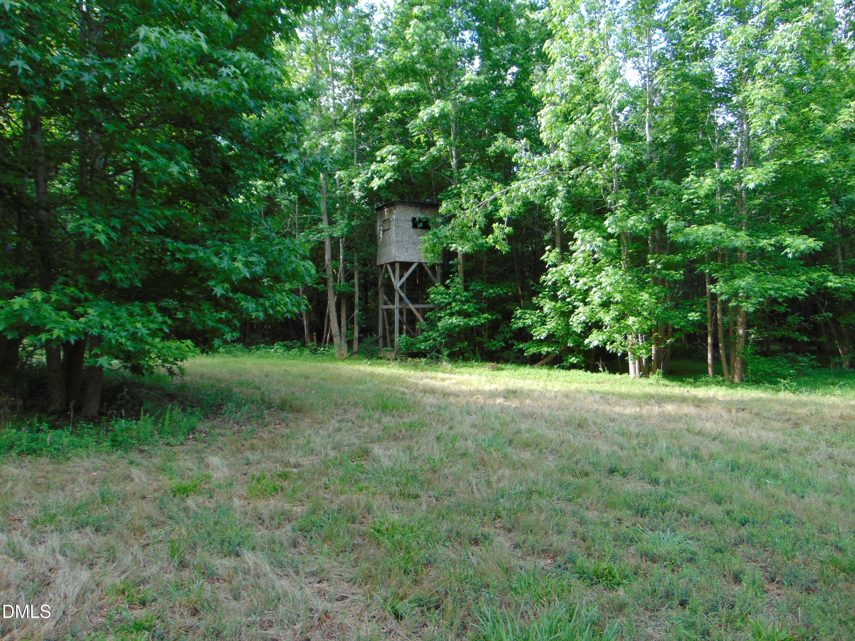 0 Walters Mill Road Providence, NC 27315 - Photo 13 of 22 DSC01570