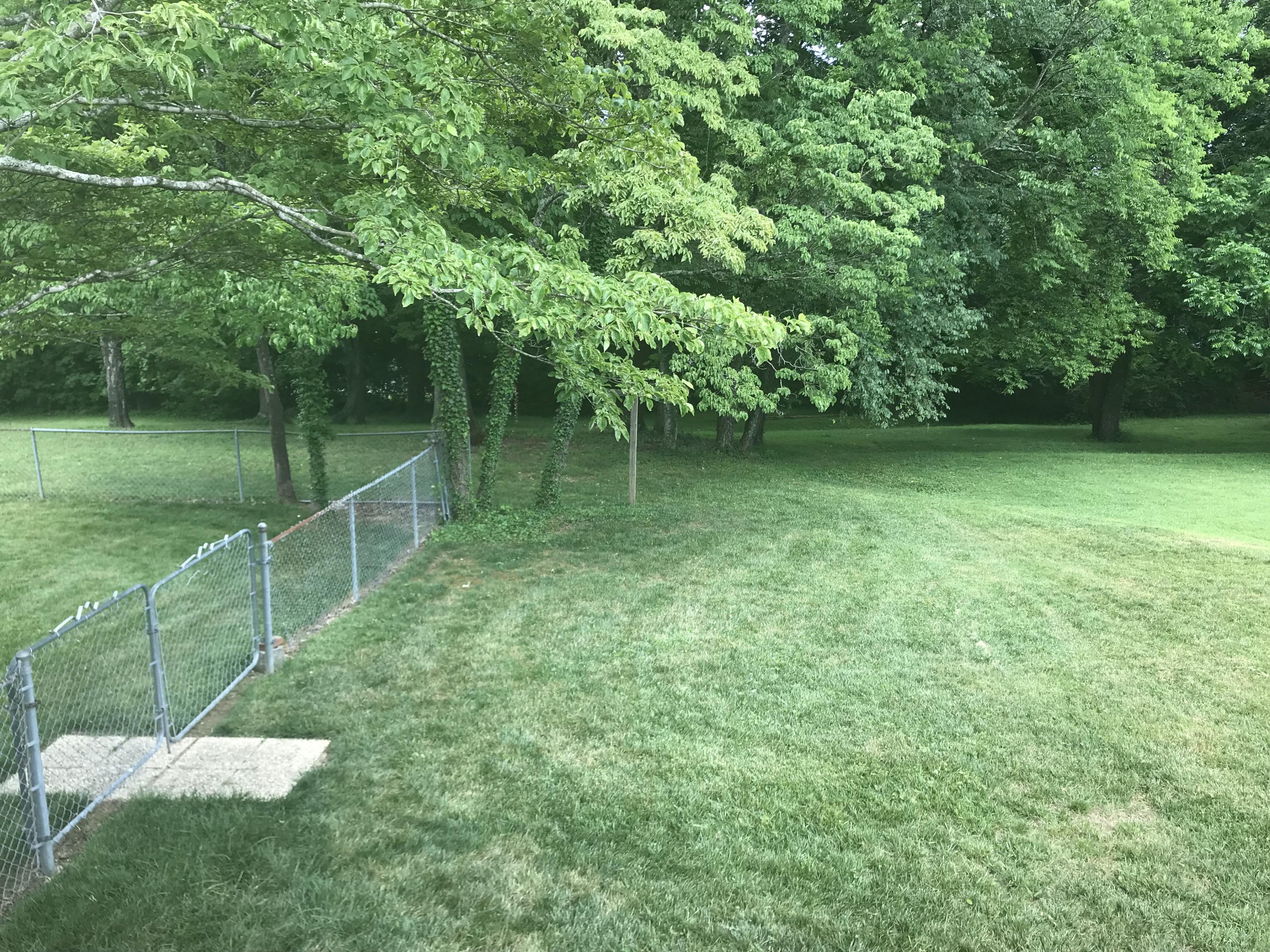 109 Cahill Lane Oak Ridge, TN 37830 - Photo 24 of 25 109 Cahill--Yard-1