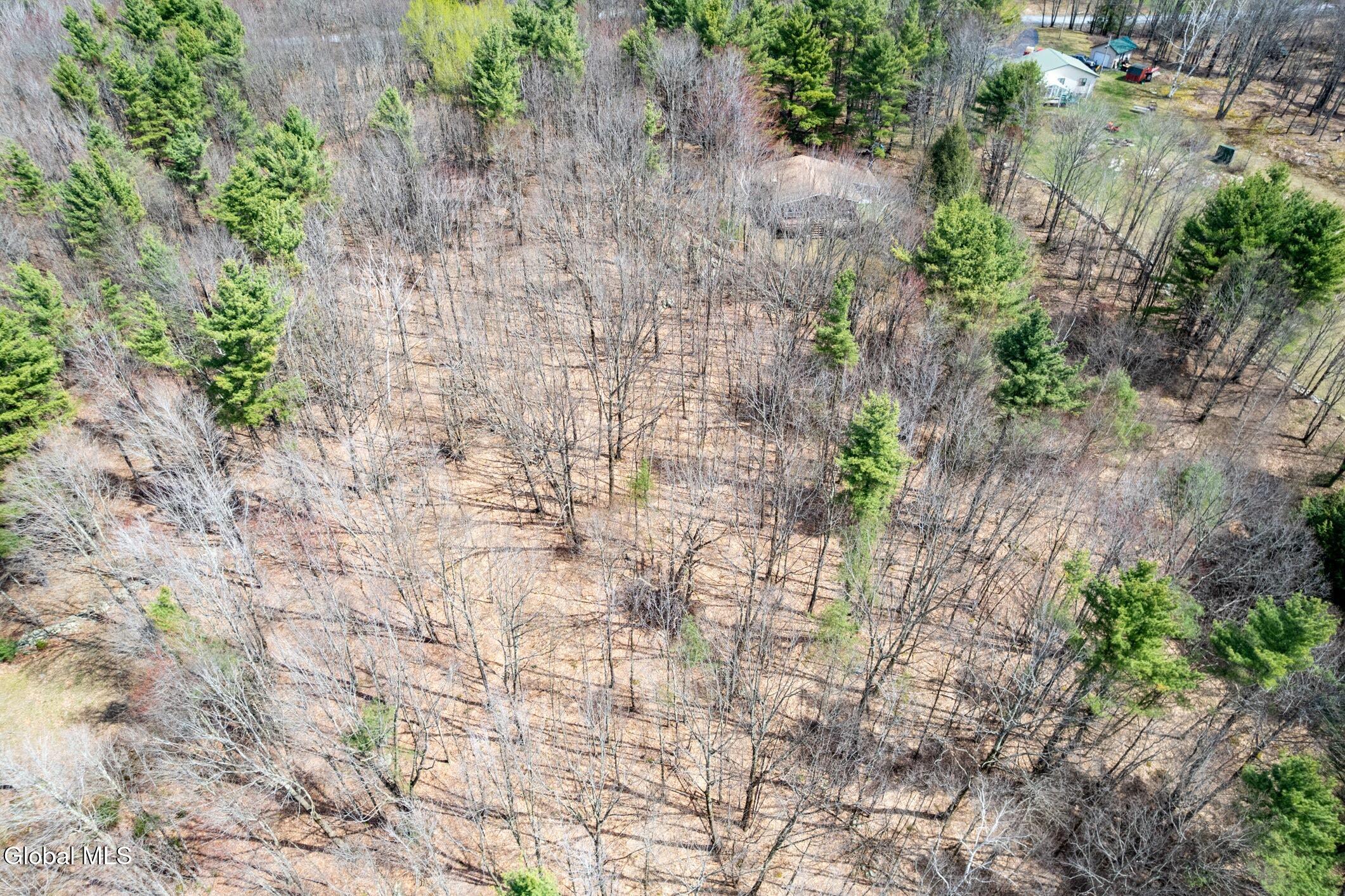 421 Potter Hill Road Petersburgh, NY 12138 - Photo 37 of 46 5- 421 Potter Hill Rd Drone