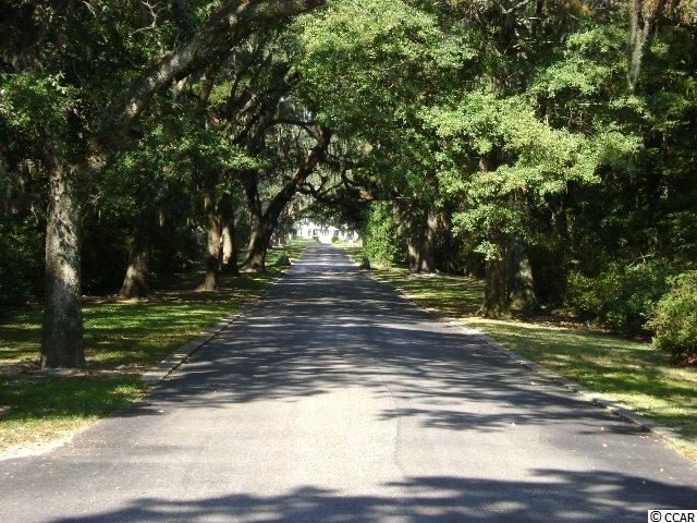 1057 Tuckers Road Pawleys Island, SC 29585 - Photo 5 of 13 Gallery Image 5