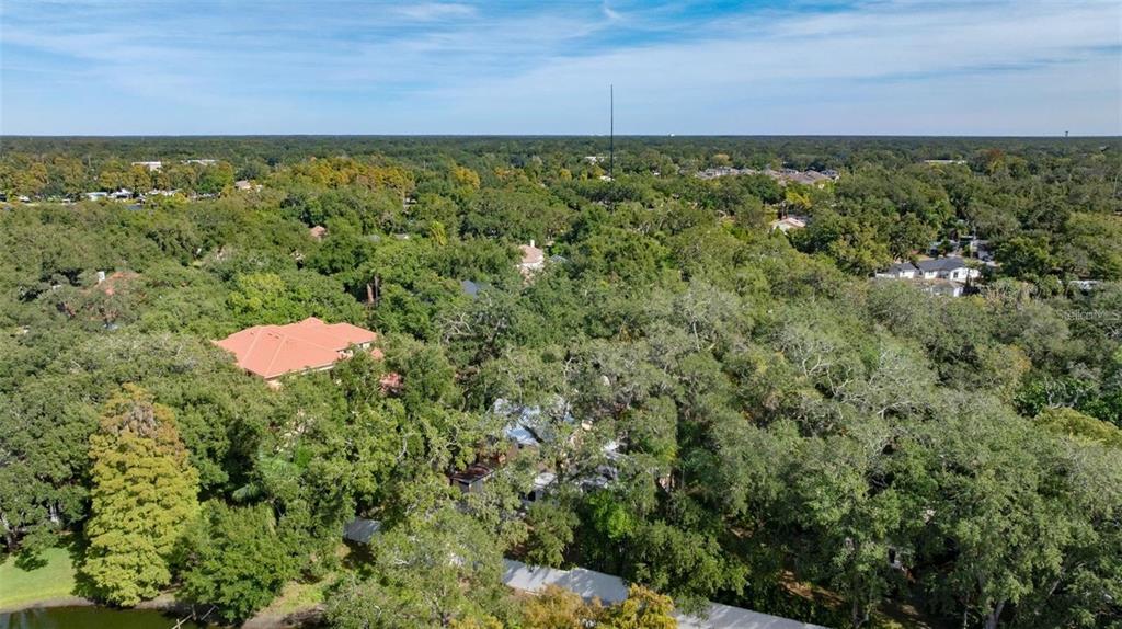 315 Wooten Road Lutz, FL 33548 - Photo 53 of 56
