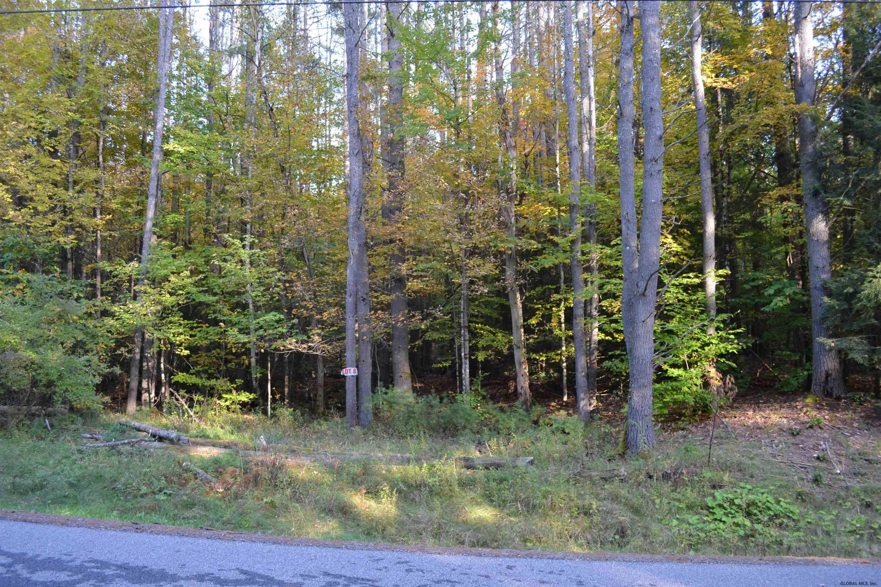 L828 Hendricks Road Warrensburg, NY 12885 - Photo 2 of 11 Photo 1