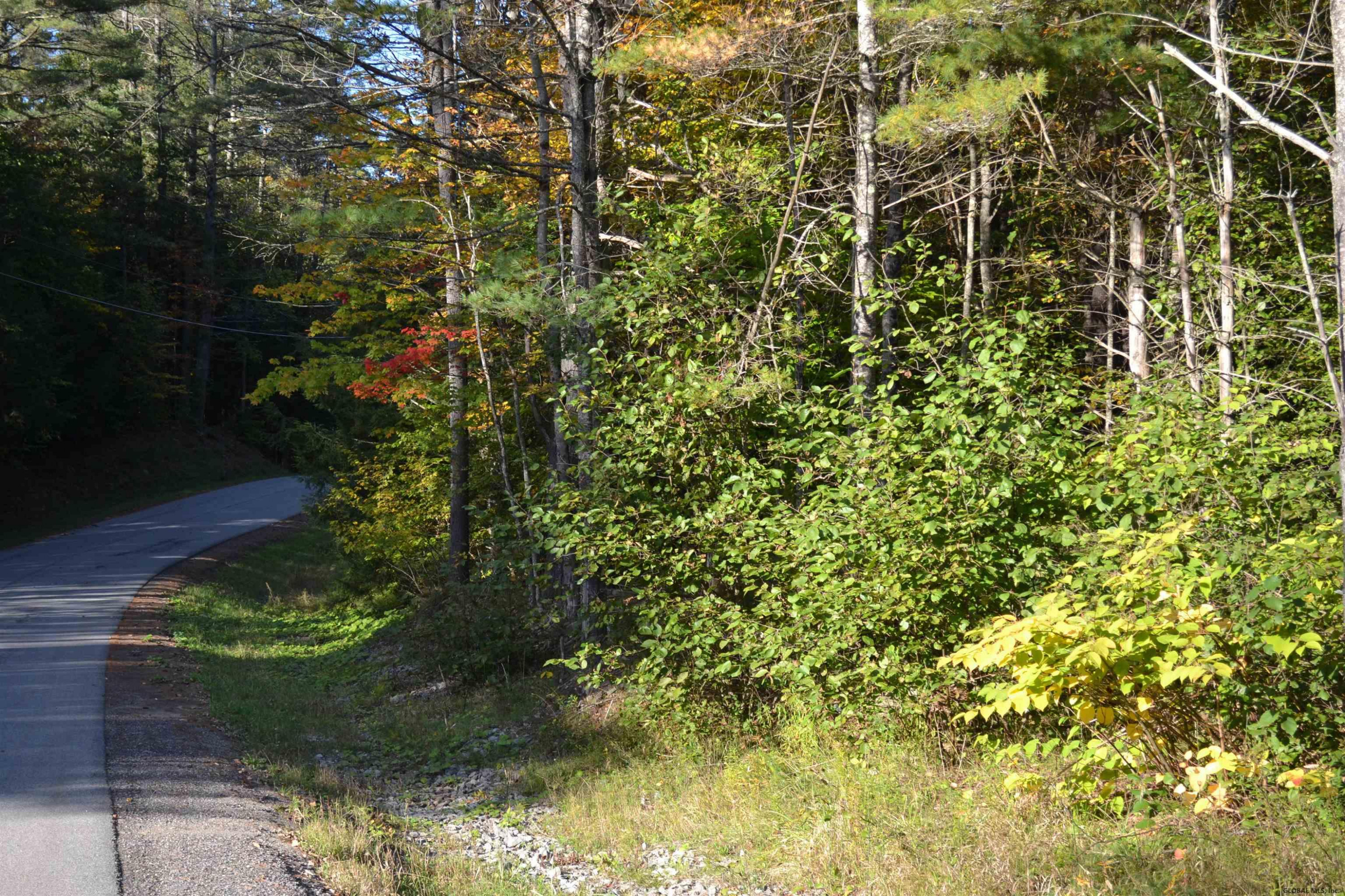 L828 Hendricks Road Warrensburg, NY 12885 - Photo 3 of 11 Photo 2