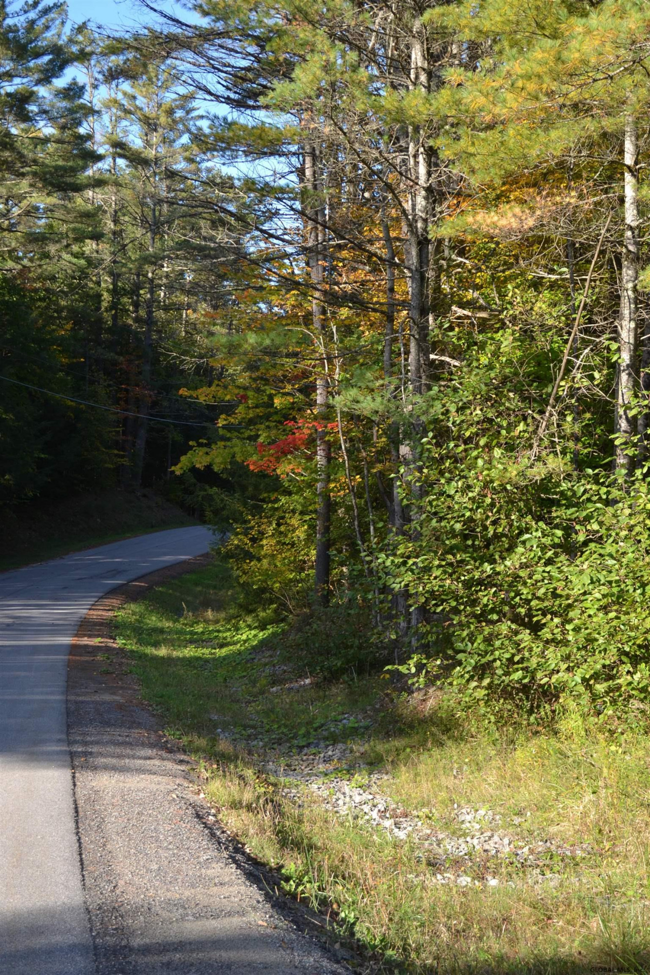 L828 Hendricks Road Warrensburg, NY 12885 - Photo 4 of 11 Photo 3