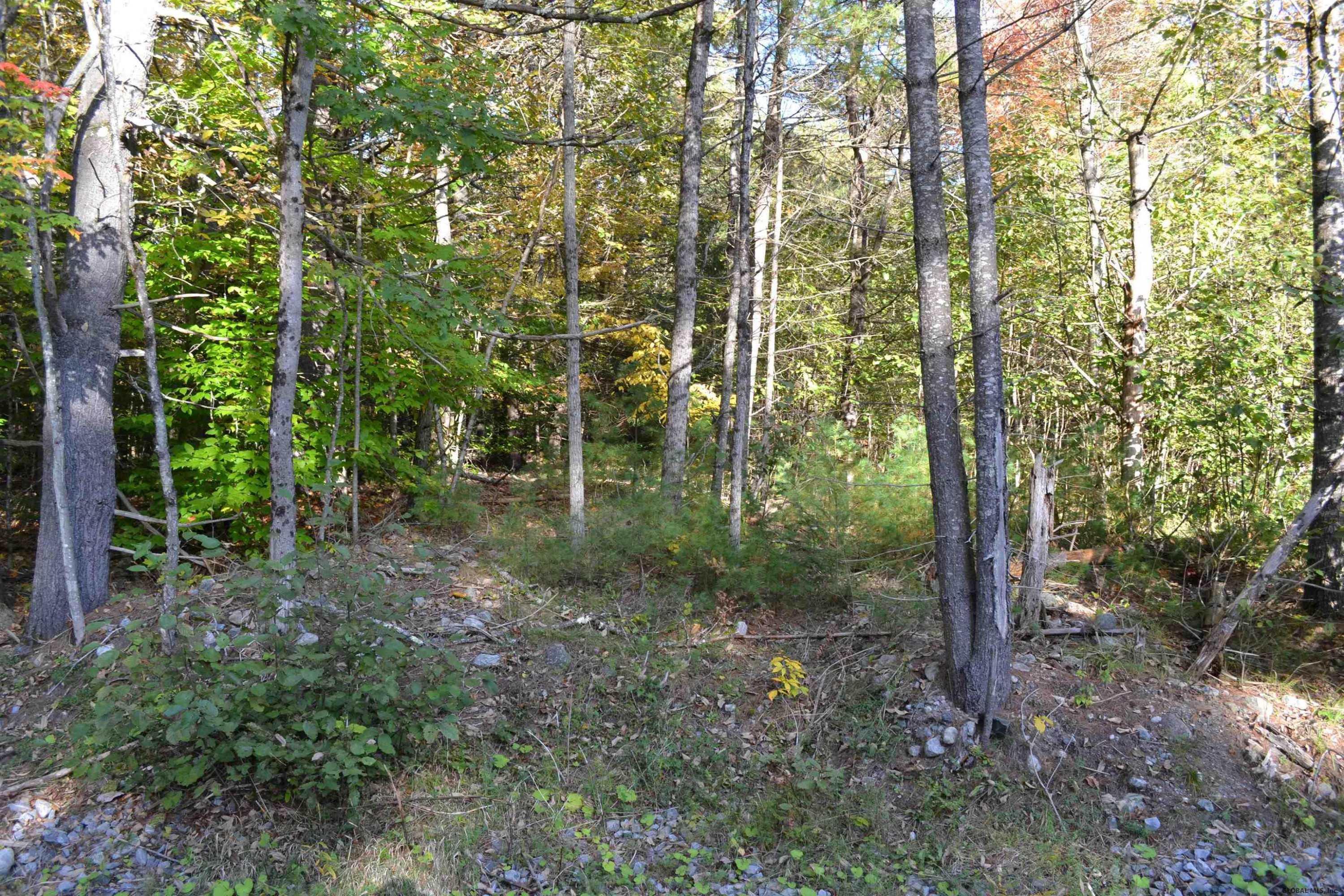 L828 Hendricks Road Warrensburg, NY 12885 - Photo 5 of 11 Photo 4