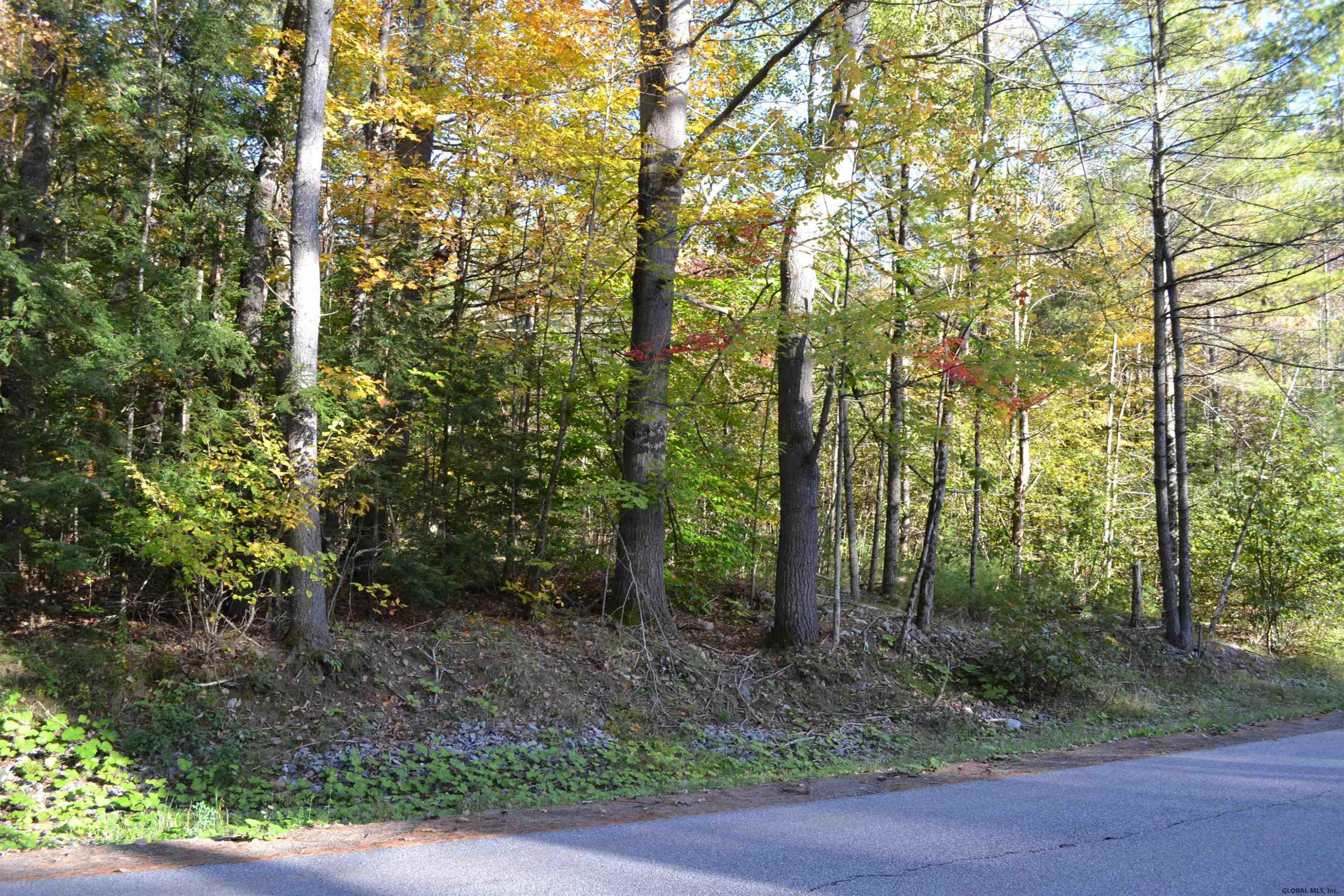 L828 Hendricks Road Warrensburg, NY 12885 - Photo 6 of 11 Photo 5