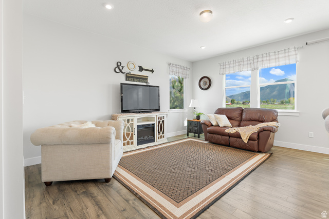 2343 Wysteria Drive Mapleton, UT 84664 - Photo 13 of 30 Living room with wood-type flooring and recessed lighting