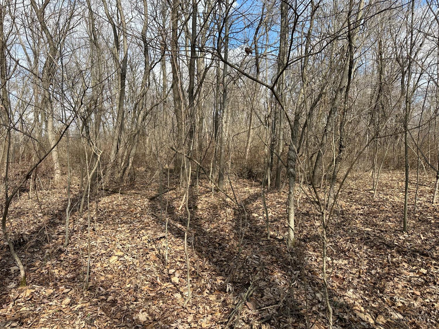 0 Wilson Road Winchester, OH 45697 - Photo 58 of 69