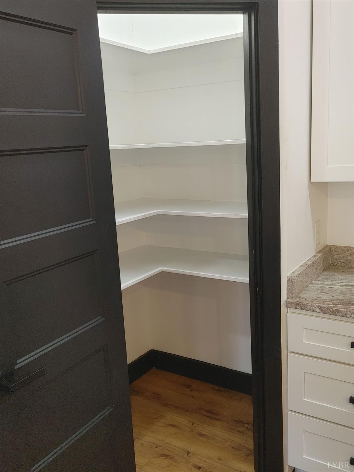 8915 Charlemont Road Goode, VA 24556 - Photo 19 of 96 a view of walk in closet with empty racks