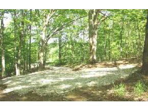 3900 Swartz Ridge Road Bloomington, IN 47401 - Photo 3 of 5