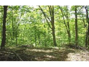 3900 Swartz Ridge Road Bloomington, IN 47401 - Photo 4 of 5