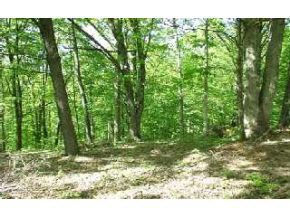 3900 Swartz Ridge Road Bloomington, IN 47401 - Photo 5 of 5