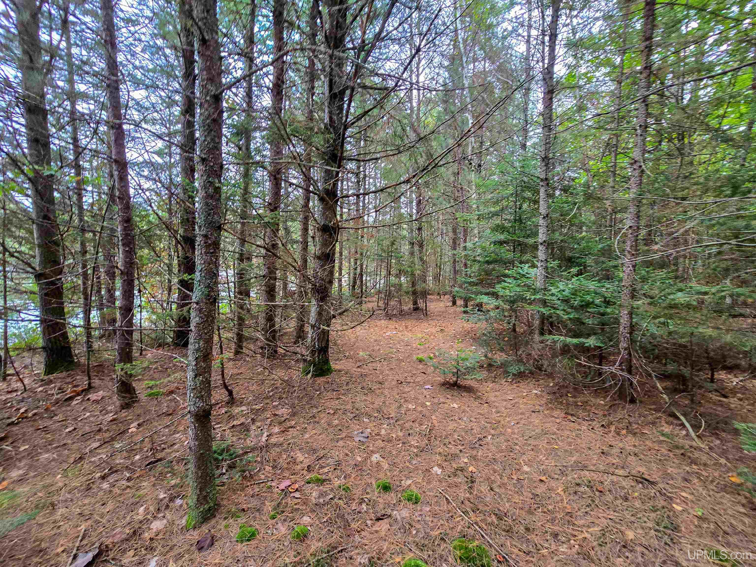 Tbd Leatherleaf Lane Munising, MI 49862 - Photo 7 of 24