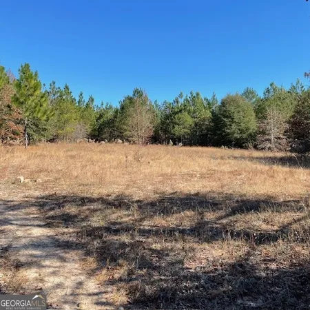 $459,800 | 0 Pineville Road, Unit 121 / ACRES, Buena Vista, GA 31803