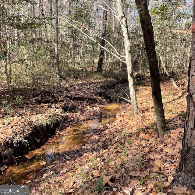 0 Pineville Road, Unit 121 / ACRES Buena Vista, GA 31803 - Photo 11 of 35 a view of a yard with large trees