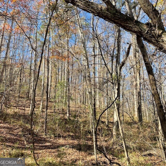 0 Pineville Road, Unit 121 / ACRES Buena Vista, GA 31803 - Photo 12 of 35 a backyard of a building
