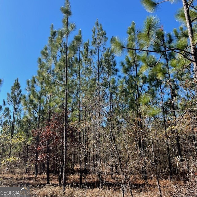 0 Pineville Road, Unit 121 / ACRES Buena Vista, GA 31803 - Photo 13 of 35 a view of a house with a tree
