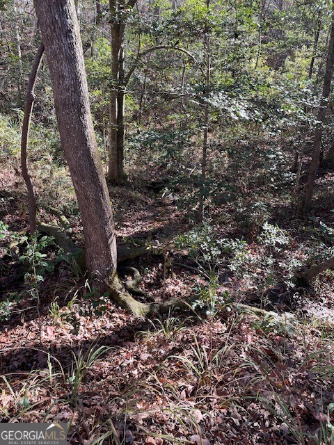 0 Pineville Road, Unit 121 / ACRES Buena Vista, GA 31803 - Photo 15 of 35 a view of a tree in a yard