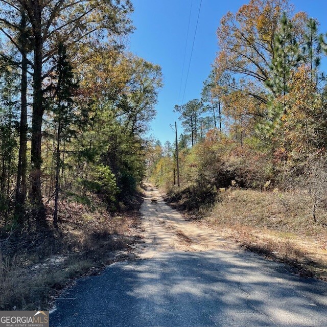 0 Pineville Road, Unit 121 / ACRES Buena Vista, GA 31803 - Photo 18 of 35 a view of a dirt road with large trees