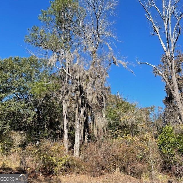 0 Pineville Road, Unit 121 / ACRES Buena Vista, GA 31803 - Photo 19 of 35 a view of a yard