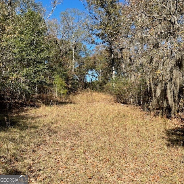 0 Pineville Road, Unit 121 / ACRES Buena Vista, GA 31803 - Photo 21 of 35 a view of a yard covered in snow