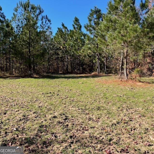 0 Pineville Road, Unit 121 / ACRES Buena Vista, GA 31803 - Photo 22 of 35 a view of a yard with a tree