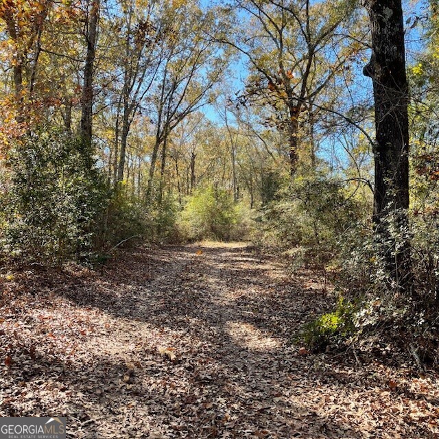 0 Pineville Road, Unit 121 / ACRES Buena Vista, GA 31803 - Photo 23 of 35 a view of a yard with plants and trees