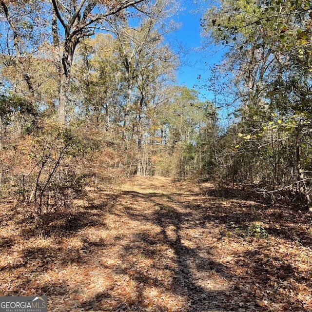 0 Pineville Road, Unit 121 / ACRES Buena Vista, GA 31803 - Photo 24 of 35 a view of a yard with a tree