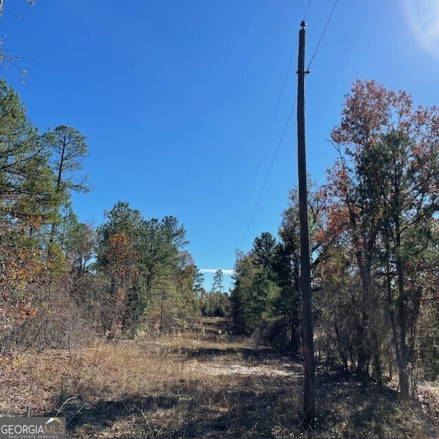 0 Pineville Road, Unit 121 / ACRES Buena Vista, GA 31803 - Photo 28 of 35 a view of a plants with trees in the background