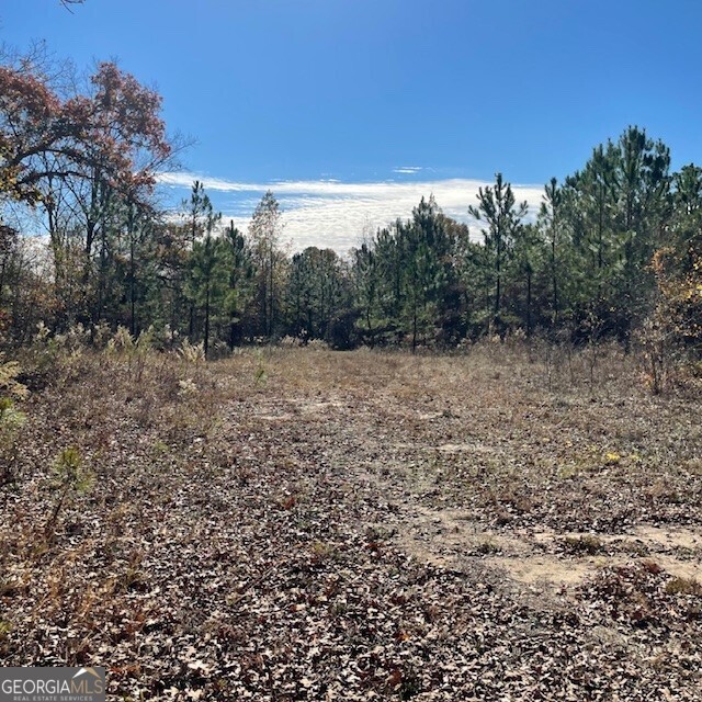 0 Pineville Road, Unit 121 / ACRES Buena Vista, GA 31803 - Photo 3 of 35 a view of a yard with a tree