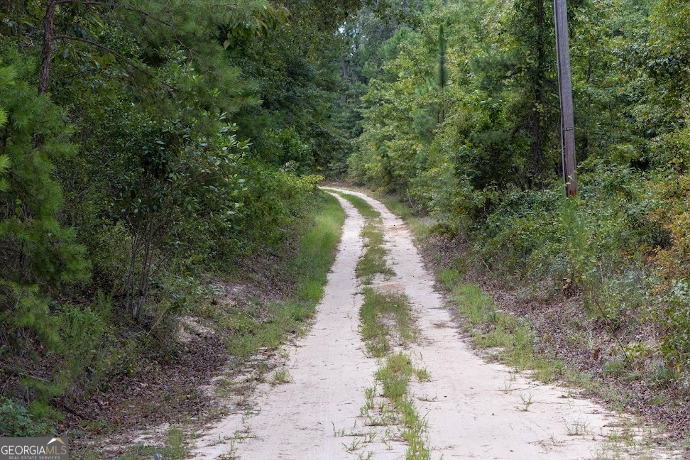 0 Pineville Road, Unit 121 / ACRES Buena Vista, GA 31803 - Photo 32 of 35 a view of a road with a trees