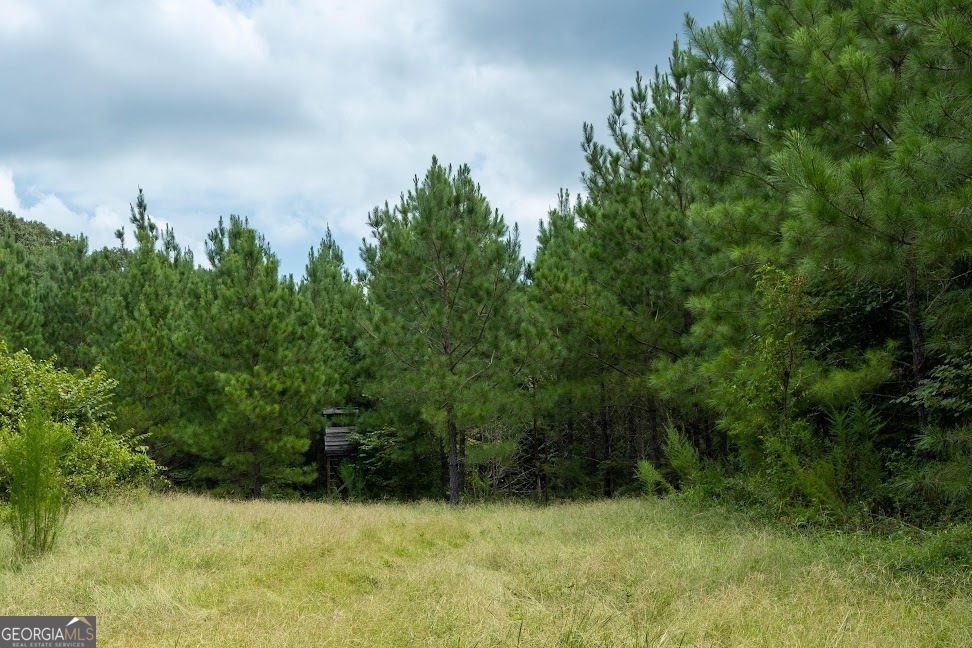 0 Pineville Road, Unit 121 / ACRES Buena Vista, GA 31803 - Photo 33 of 35