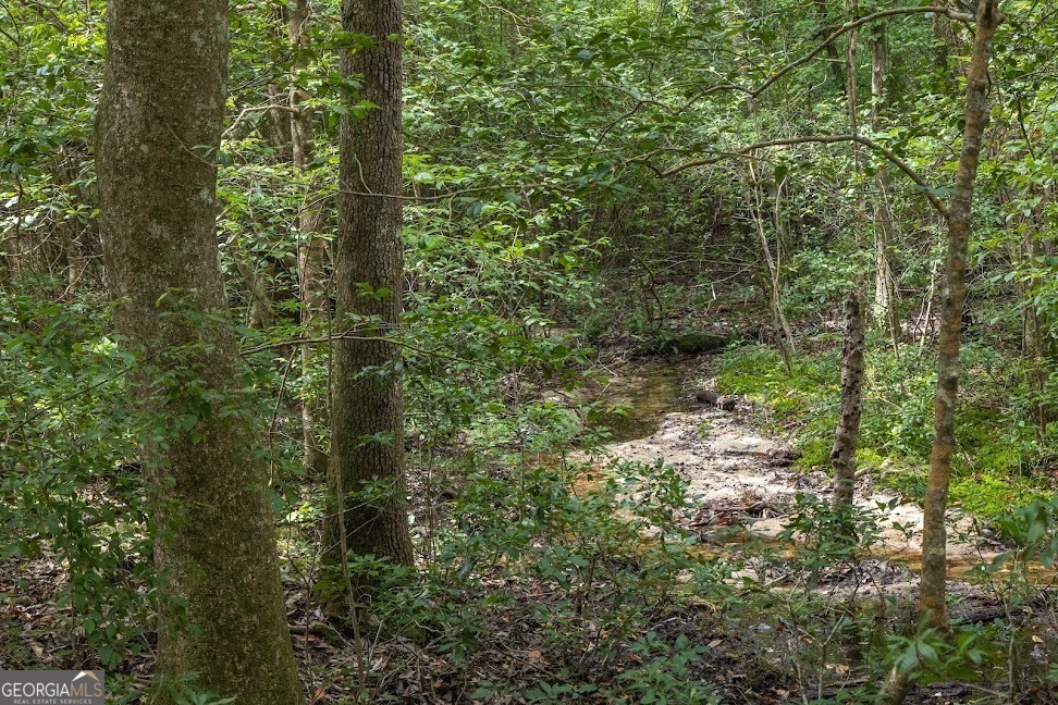 0 Pineville Road, Unit 121 / ACRES Buena Vista, GA 31803 - Photo 35 of 35 a view of a forest with trees