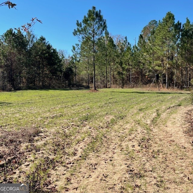 0 Pineville Road, Unit 121 / ACRES Buena Vista, GA 31803 - Photo 7 of 35 a view of outdoor space and yard