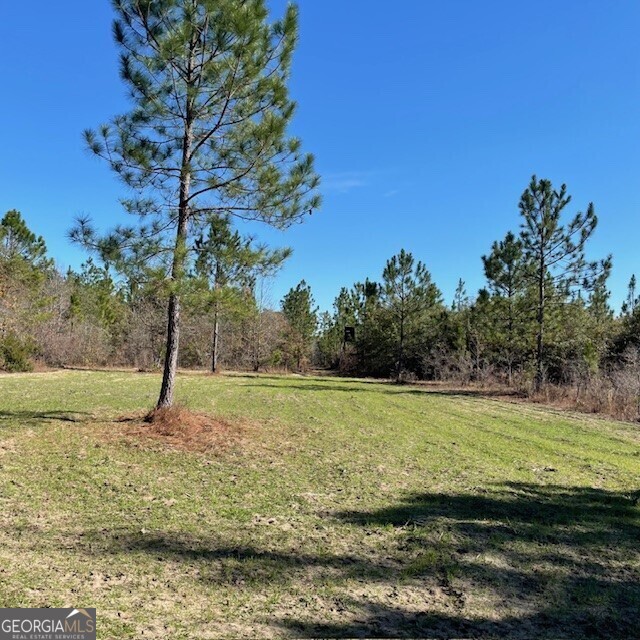 0 Pineville Road, Unit 121 / ACRES Buena Vista, GA 31803 - Photo 8 of 35 a view of a field with an ocean