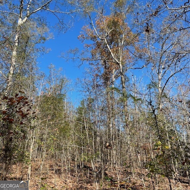 0 Pineville Road, Unit 121 / ACRES Buena Vista, GA 31803 - Photo 10 of 35 a view of a tree