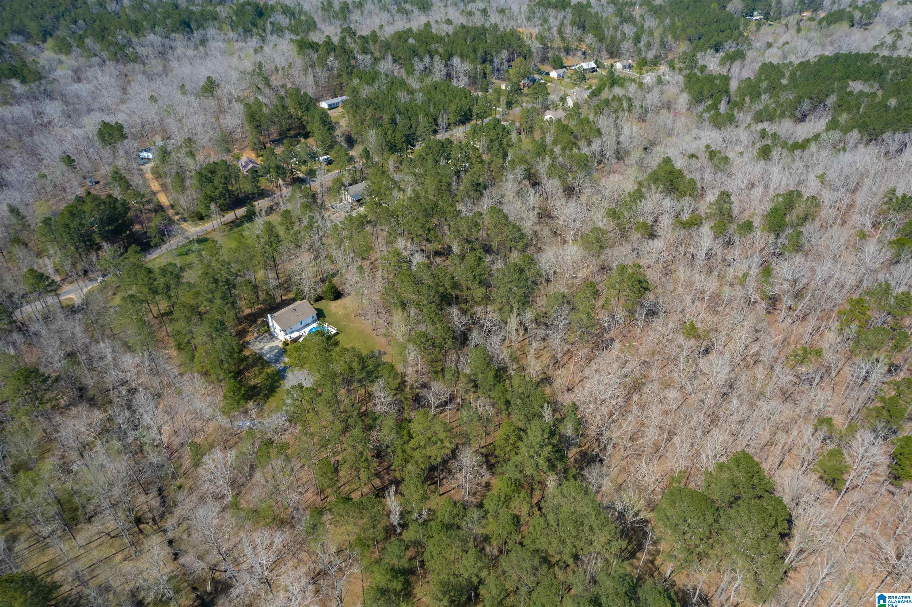 184 Sequoyah Road Pell City, AL 35128 - Photo 6 of 46