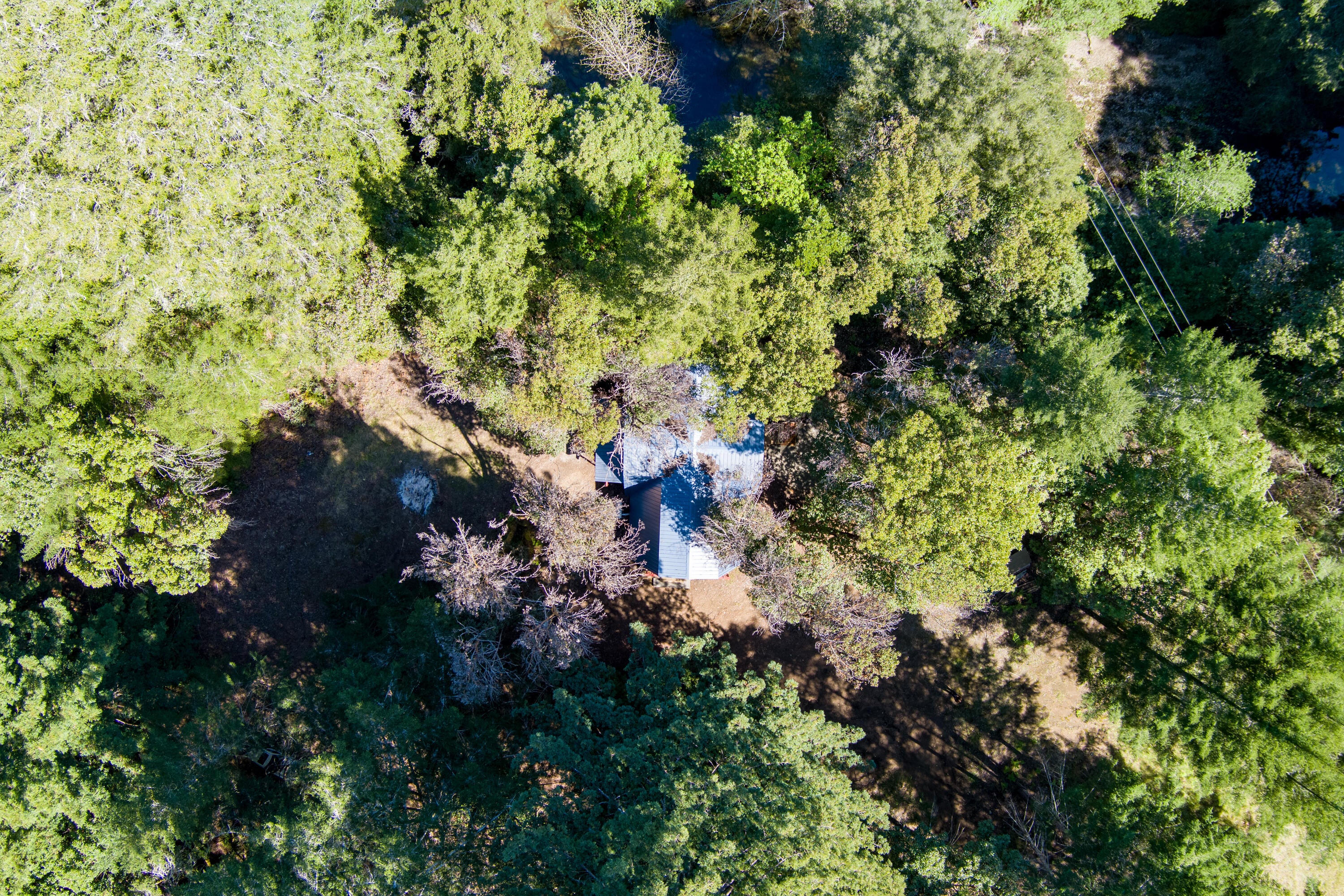 290 Green House Road Whitethorn, CA 95589 - Photo 62 of 73 63-290 Green House-262