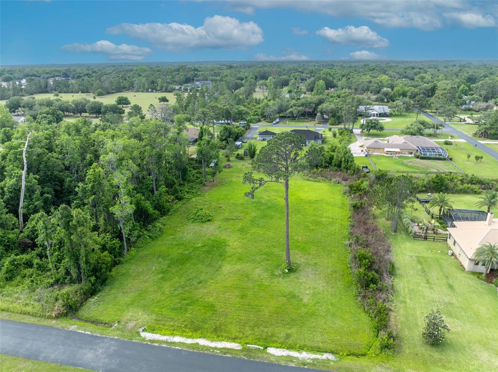 Mill Pond Road Tavares, FL 32778 - Photo 6 of 9