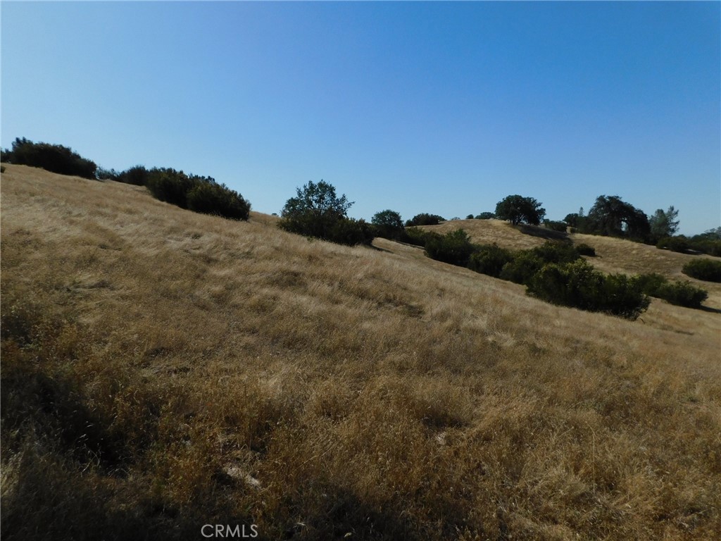 7878 O'Donovan Road Creston, CA 93432 - Photo 7 of 9