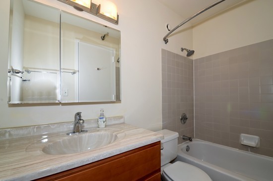 1122 North Clark Street, Unit 2909 Chicago, IL 60610 - Photo 4 of 10