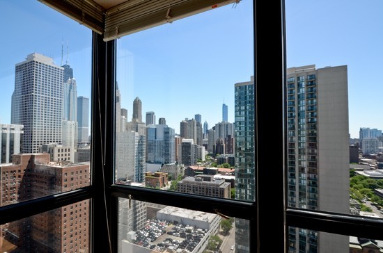 1122 North Clark Street, Unit 2909 Chicago, IL 60610 - Photo 10 of 10