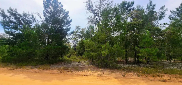 a view of a yard with a tree