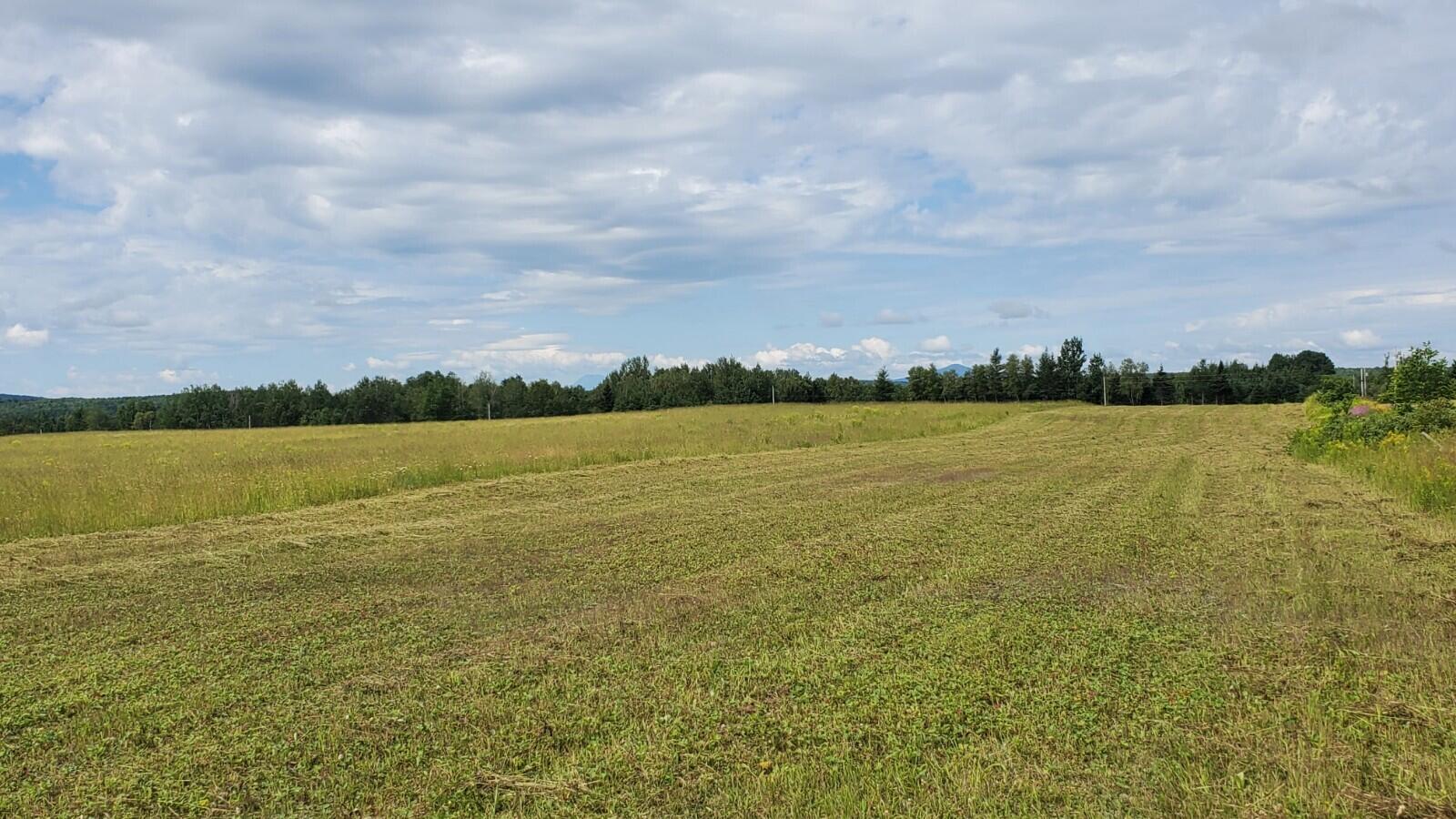 Lot 29 Rebel Hill Road Merrill, ME 04780 - Photo 11 of 11 20210723_102237