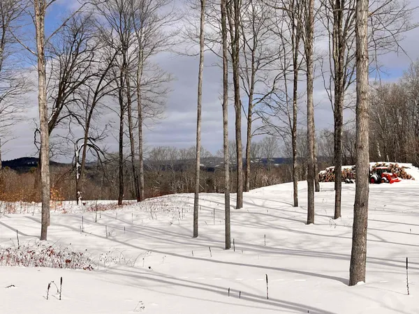 $195,000 | 119 Advent Hill Road, Hartland, VT 05048